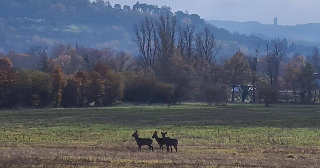 Le Coq En Repos Saint-Sylvestre-sur-Lot Exterior foto