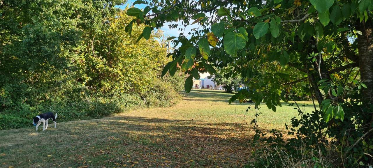 Le Coq En Repos Saint-Sylvestre-sur-Lot Exterior foto